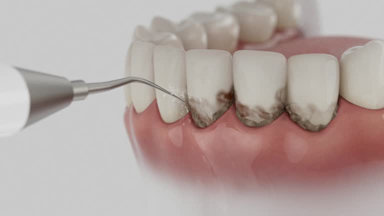 Reliable Dental contractor in North Shore, VA by Dentist Open Now